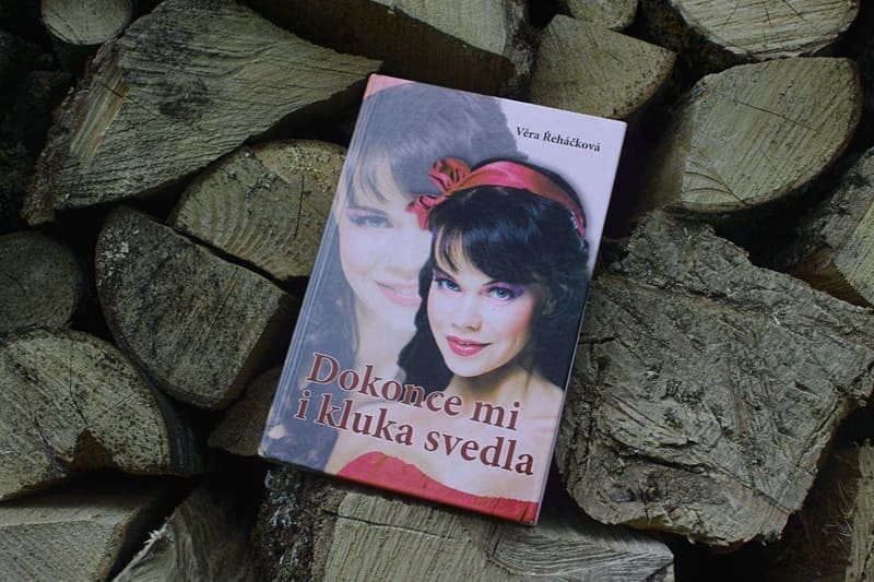 Recenze knihy Dokonce mi i kluka svedla